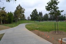 Enlarge photo 217