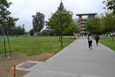 Enlarge photo 218