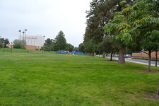 Enlarge photo 221