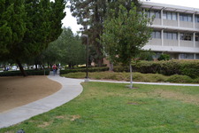 Enlarge photo 224