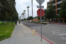 Enlarge photo 225