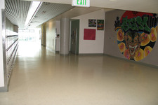 Enlarge photo 83