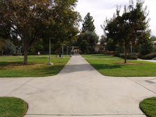 Enlarge photo 30