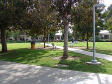 Enlarge photo 38