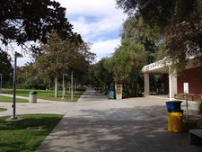 Enlarge photo 41