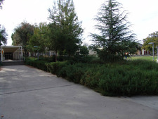 Enlarge photo 47