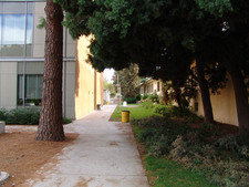 Enlarge photo 83