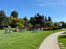 Enlarge photo 8