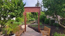 Enlarge photo 41