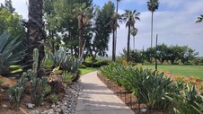 Enlarge photo 58