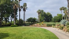 Enlarge photo 55