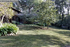 Enlarge photo 75
