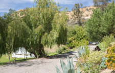 Enlarge photo 10