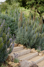 Enlarge photo 104