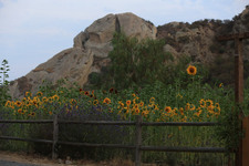 Enlarge photo 112