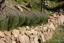 Enlarge photo 2