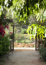 Enlarge photo 33