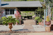 Enlarge photo 41