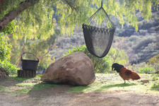Enlarge photo 49