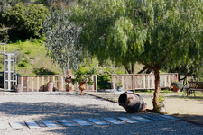 Enlarge photo 52