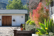 Enlarge photo 56
