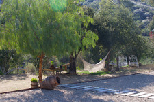 Enlarge photo 57