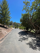 Enlarge photo 61