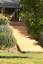 Enlarge photo 63