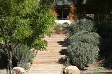 Enlarge photo 67