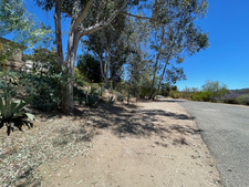 Enlarge photo 72
