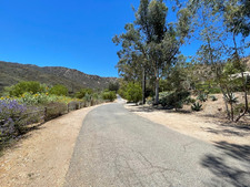 Enlarge photo 73
