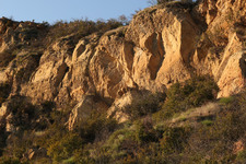 Enlarge photo 76