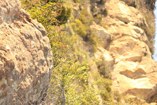 Enlarge photo 78