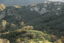 Enlarge photo 79