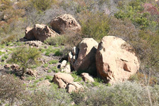Enlarge photo 84