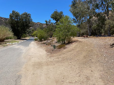 Enlarge photo 86
