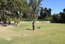 Enlarge photo 41