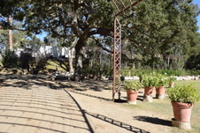 Enlarge photo 42