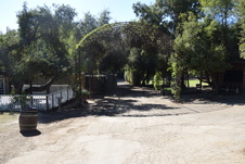 Enlarge photo 43