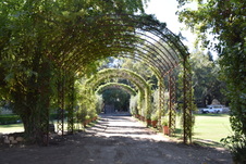 Enlarge photo 46
