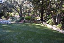 Enlarge photo 48
