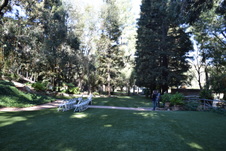 Enlarge photo 53