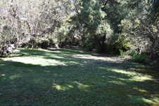Enlarge photo 92