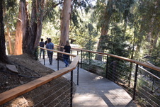 Enlarge photo 110