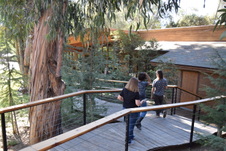 Enlarge photo 112