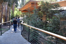 Enlarge photo 113