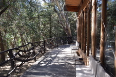 Enlarge photo 119