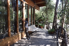 Enlarge photo 120