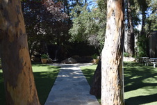 Enlarge photo 135