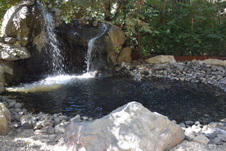 Enlarge photo 137